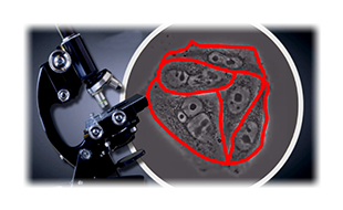 Identify & track morphing items in motion.